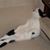 Wanda Combs's profile image