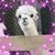 Abbi Bruwer Rubbelke's profile image