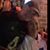 Linda Turner Bohannan's profile image