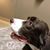 Larry Oberle's profile image
