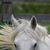 Regina Maynard's profile image