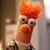 Matthew Reise's profile image