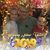 Debbie L Brown Wieczorek's profile image