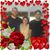 Maria Renaud's profile image