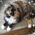 Heather Caragiulo's profile image
