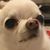 Felicity Crandall's profile image