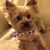 Jean Eckert Neals's profile image
