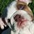 Thomas Bruneau's profile image