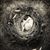 Shannon Farrar's profile image