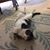 Madeline Walters's profile image