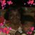 Teresa Conner-Burnett's profile image