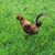 Jeffery Zimbelman's profile image