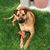 Nancy Normington's profile image