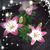 Mary Litherland's profile image