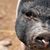 Kelli Riccardi Guider's profile image