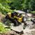 Renee Brenner's profile image