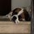 Dan Yukelson's profile image