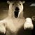 Balu Bär's profile image