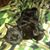 Jon Baize's profile image