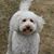 Jill Johnson's profile image