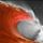 Mary beth L.'s profile image