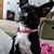 Patty Mazzone's profile image