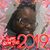 Jasmine Steele's profile image