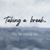 Angie McMahan's profile image