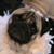Denise Wetherhold Sims's profile image