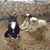 Linda Childers Lewis's profile image
