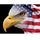 Steve C.'s profile image