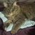Suzy Sawyer Mayhan's profile image