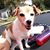 Mandi Forrester's profile image