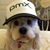 Jerry San Jose's profile image