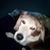 John DeBardino's profile image