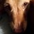 Kemberly Meadows Thornton's profile image