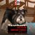 Jeanine Bator's profile image