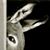 Jenny Westin's profile image