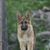 Jennifer Patten Osgood's profile image