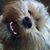 Maureen Rossi's profile image