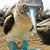 Kathy McCullough's profile image