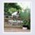 Ruth DiCorcia Schneider's profile image