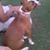 Isaac Burress's profile image