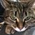Amy Birling's profile image