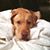 Gwendolyn Phillips's profile image