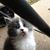 See Fred's profile image
