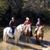 Joann Westmoreland's profile image