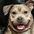 Lisa Collins Gonzalez's profile image