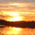 J Lynne Roberts's profile image