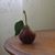 Mary Campbell's profile image